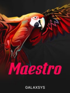Maestro